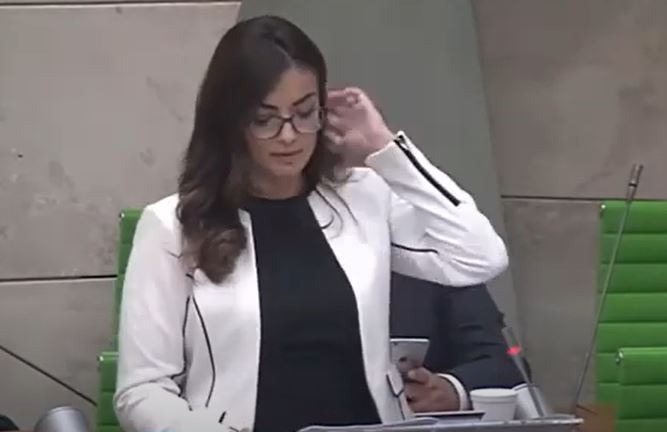 Rosianne Cutajar has a history of attacking Daphne Caruana Galizia following her murder