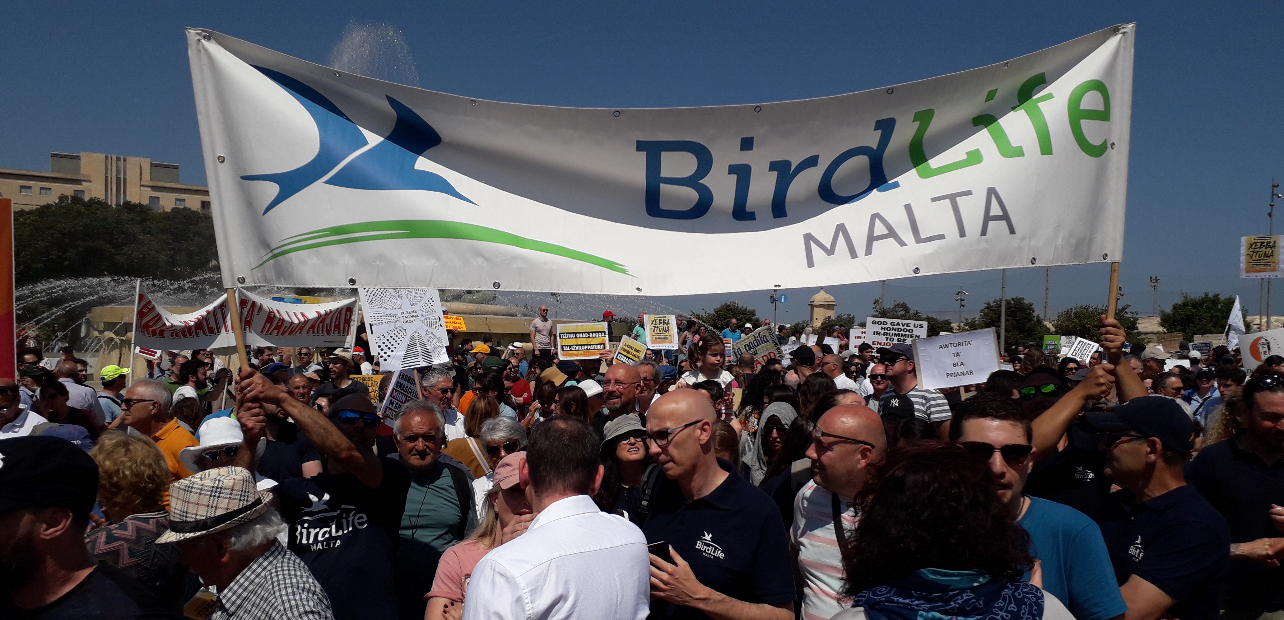 Environment NGOs endorse BirdLife Malta’s call to European Commissioner for Environment to uphold rule of law in Malta