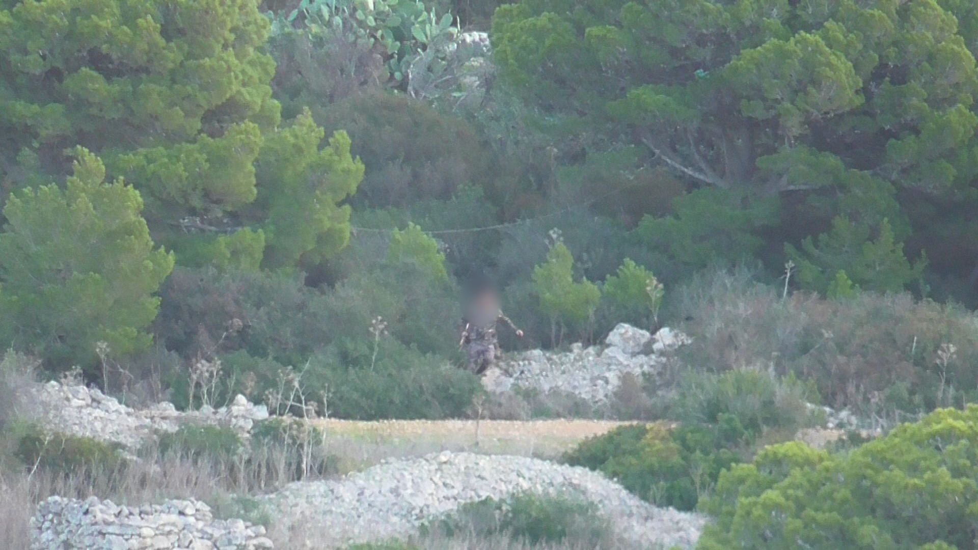Illegal hunting in Malta’s protected bird sanctuaries sparks urgent need for action