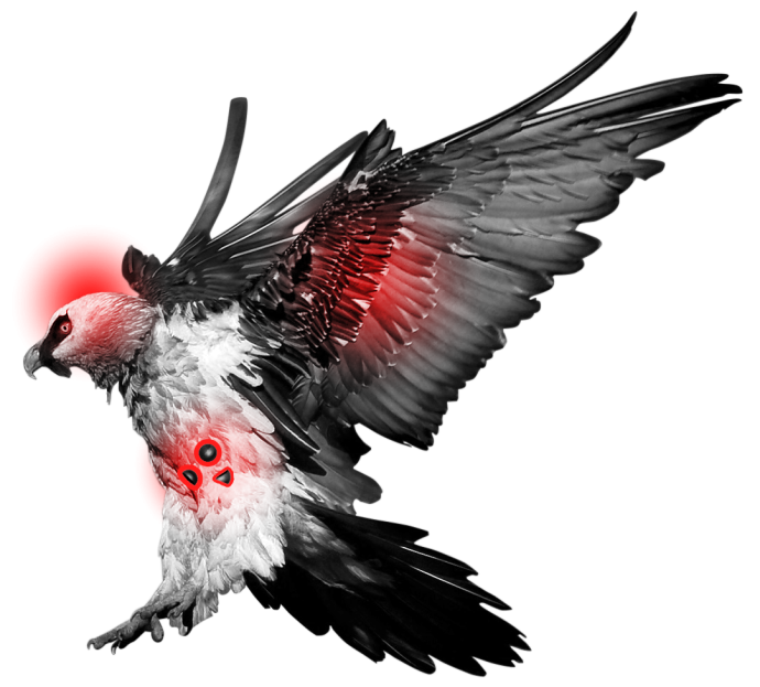 BirdLife calls for EU-wide ban on lead in hunting and fishing amid health concerns