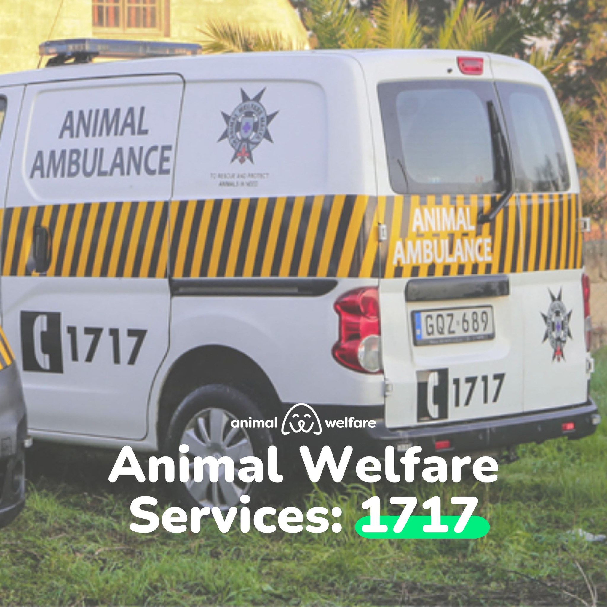 Animal Welfare Department drops dog in the street but procedure implemented is unclear