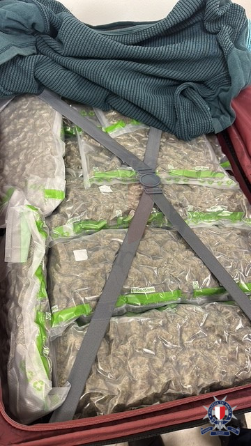 Man arrested in Żabbar after 10kg cannabis seizure worth €100,000