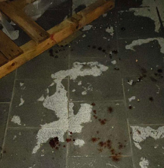 Adrian Delia states his son was assaulted in a public place in Sliema