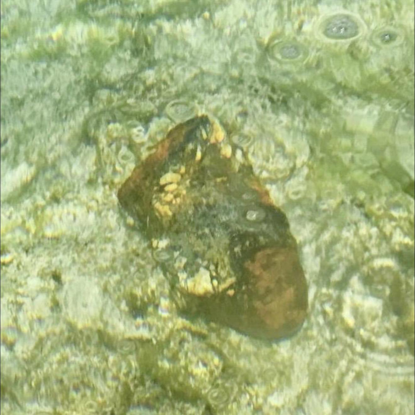 Updated: Pre World War I bomb found at Lapsi