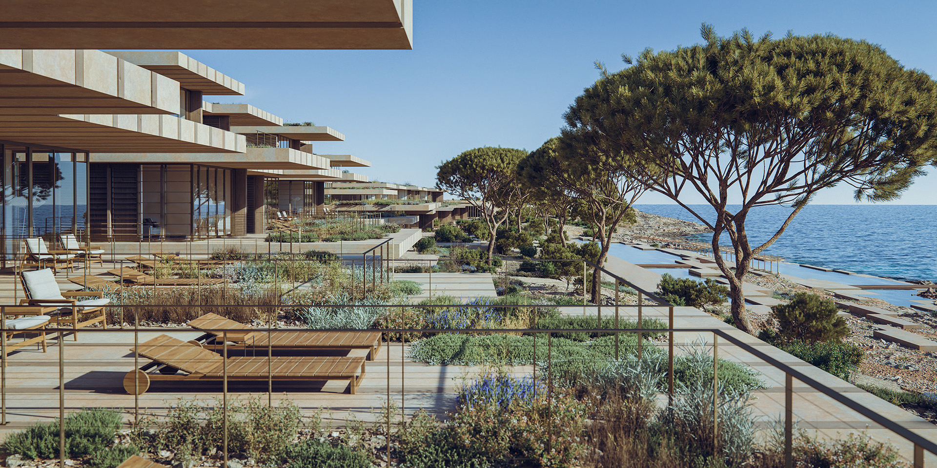 ERA issues statement on trees uprooting in Comino: NGOs say this is not the end of the issue