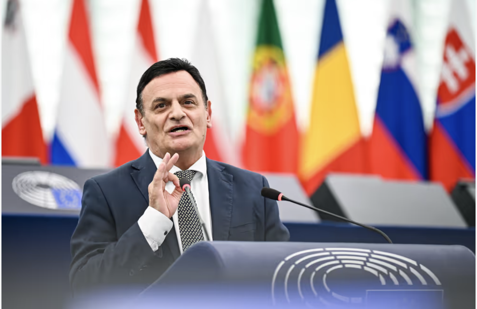 Socialist MEPs attack David Casa and Peter Agius for calling for rule-of-law reforms at the European Parliament
